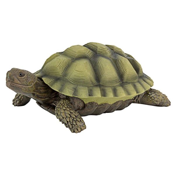 Gilbert the Box Turtle Statue, 2 Boxes Online now - Image 4
