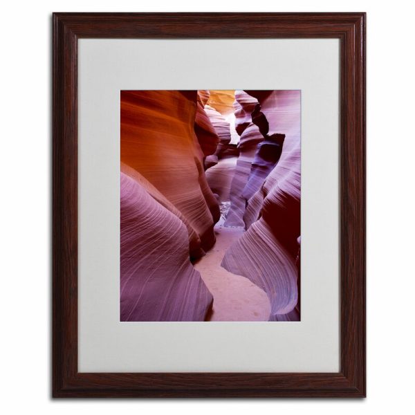 Pierre Leclerc - Picture Frame Photograph on Canvas 20 x 16 x 0.5 Fashion
